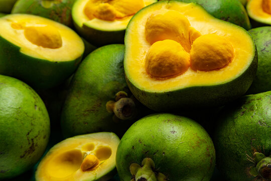 Alguns frutos maduros de pequi. Pequi, fruta do cerrado brasileiro, muito comum no estado de Goi&aacute;s. Comida t&iacute;pica de Goi&aacute;s.