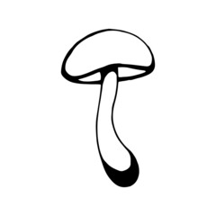 Hand drawn mushroom outline. Line art style isolated on white background.