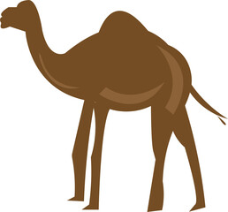 Desert camel