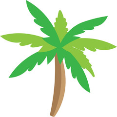 palm tree