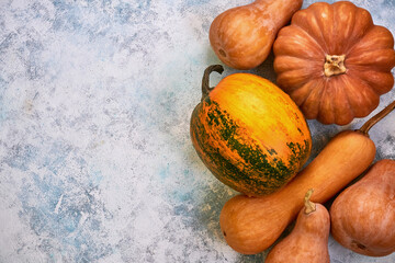 Pumpkin assorted on light blue background. Autumn postcard. Top view Flat lay