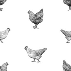 Seamless background of sketches black and white farm hens