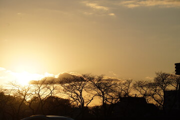 金色の夕焼け、一日の終わり
