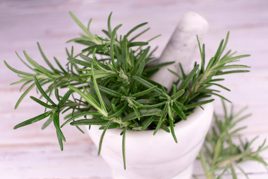 Rosemary in a mortar on a white background.
