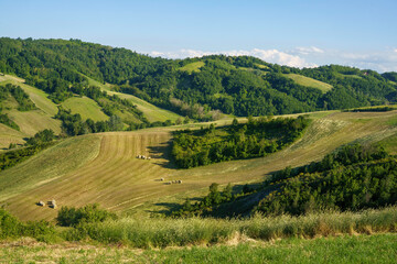 Fototapeta na wymiar Rural landscape at Rivalta di Lesignano Bagni, Emilia-Romagna