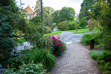 Obraz premium path in garden