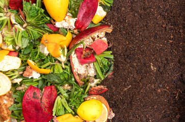 Remains of fresh nutritions and compost soil. zero waste concept.
