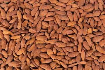 Top view photo of kernels of dried raw almonds.