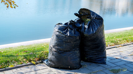 Two black bags of yard waste on road at curb waiting for garbage pickup. © Zinesh