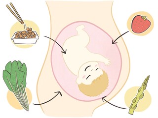 妊娠中に必要な栄養素の挿し絵(葉酸)