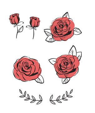 roses vectoris&eacute;es et feuilles
fleurs &eacute;closes et boutons de roses 
bicolore