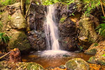 Small waterfall with lush green foliage around. Nature scene in a park. Rich saturated colors