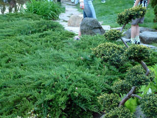 Asian park in Europe. 
Beautiful, incredibly refined and arranged in the Asian style garden. Full of greenery, stones and water. With a gentle hum, it calms our nerves.
