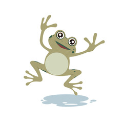 Web frog in the swamp image for a postcard