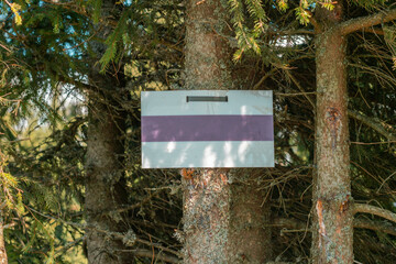 Informational tourists board mounted on the tree in the wood. Forest. Day. Woodland. Flora. Target. Empty. Mockup. Mock up