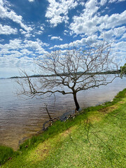 Lagoa da Conceição, Florianopolis, Santa Catarina, Brazil