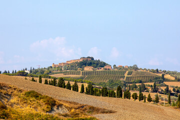 San Quirico d' Orcia (SI), Italy - August 05, 2021: Typical scenary in val d' Orcia, Tuscany,...