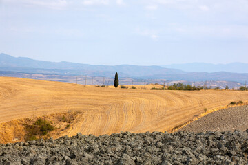 San Quirico d' Orcia (SI), Italy - August 05, 2021: Typical scenary in val d' Orcia, Tuscany, Italy..