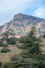 Belezma National park in the Aures region in Batna, Algeria