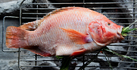 Salt-Crusted Grilled Fish. Red Tilapia Fish on a charcoal grill.
