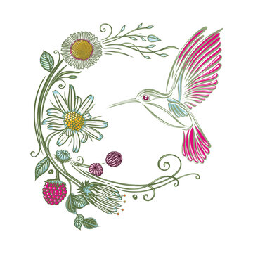 Wildblumen mit Kolibri, Margerite, Gänseblümchen, Klee, Blätterranken und Himbeere. Vektor Zeichnung.