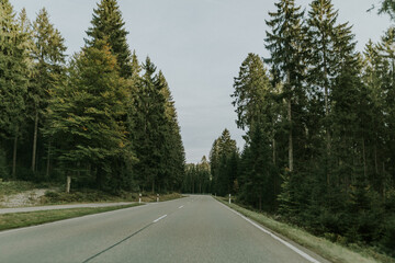 Sommerreise: Durch Wald und Himmel entlang der Hauptstraße