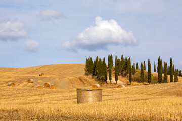 Val d' Orcia (SI), Italy - August 05, 2021: Typical landscape in val d' Orcia, Tuscany, Italy