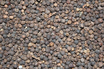 Closeup background dried black peppercorns