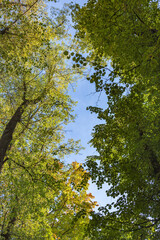 Scenic blue sky with clouds at daytime