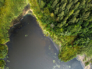 Aerial view of summer landscape with river and forest