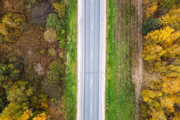 Aerial view of landscape with road in autumn forest with top trees colorful foliage