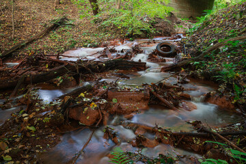 Wartki, spieniony strumień płynący przez las. - obrazy, fototapety, plakaty