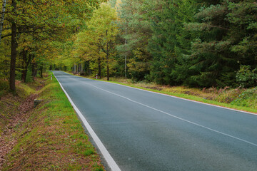 Asfaltowa droga w lesie. Jest jesień, na drzewach są żółte liście. © boguslavus