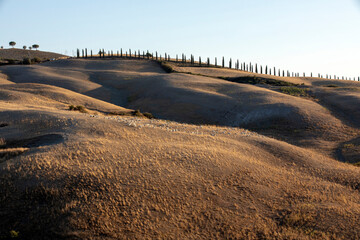 Val d' Orcia (SI), Italy - August 05, 2021: Typical landscape in val d' Orcia, Tuscany, Italy