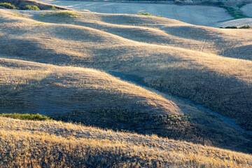 Val d' Orcia (SI), Italy - August 05, 2021: Typical landscape in val d' Orcia, Tuscany, Italy