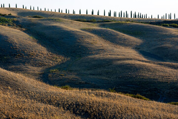 Val d' Orcia (SI), Italy - August 05, 2021: Typical landscape in val d' Orcia, Tuscany, Italy