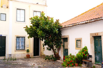 Fototapeta na wymiar Traditional house with a cobblestone courtyard with plants and tree