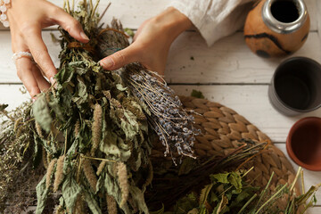 bunch of dried medicinal herbs in women's hands,  collection of medicinal herbs, white wooden table