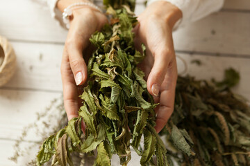  bunch of dried medicinal herbs in women's hands,  collection of medicinal herbs, white wooden table