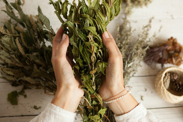  bunch of dried medicinal herbs in women's hands,  collection of medicinal herbs, white wooden table
