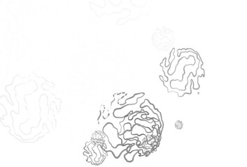 Light Gray vector background with spots, lines.