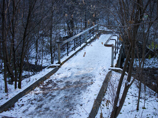A small bridge in the forest across the river.