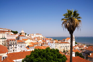 Downtown with a plam tree and an ancient monastery with the river on the background