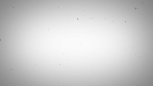 Noise, Dust, Hair, Scratches, and Grain on Old Damaged Film Seamless Texture with Low Noise Saturation. 4K Retro Template VFX Tape Loop. Opacity or Screen Mode Usage for Overlay and Blending.