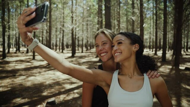 Mixed race female friends taking selfies in forest with cellular device 