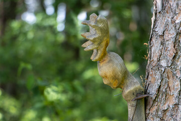 Carved human head with antlers attached to a tree trunk