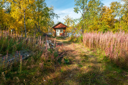 Typical small red wooden cabin in a forest in Saltoluokta, Sweden. Beautiful sunny day of autumn in remote Swedish arctic. Vivid autum colors.