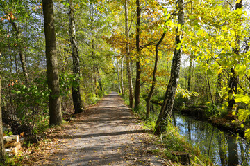 Hiking trail from Village Lehde to Leipe in autumn, Spree forest - Germany