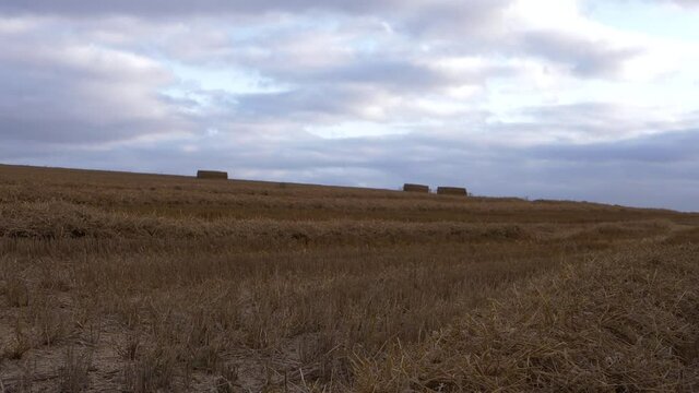 Farmland with bales of hay on the horizon