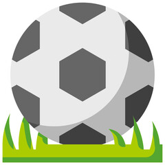 football flat icon